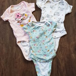 Gerber Floral Fox Onsies